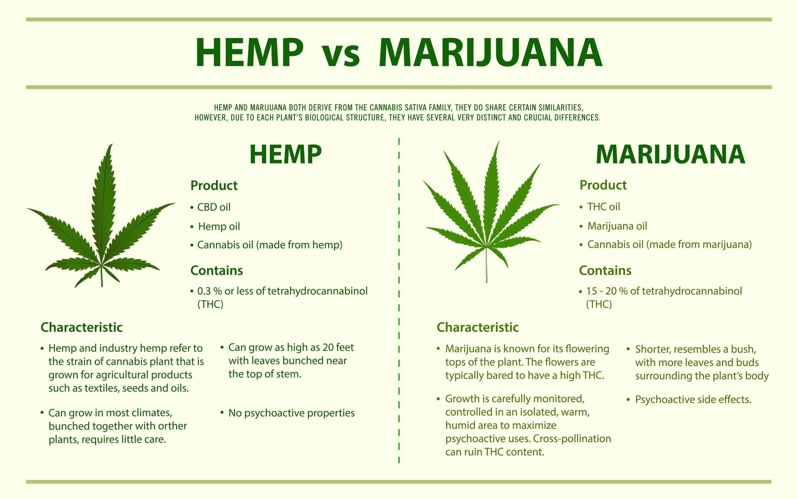 Hemp vs Marijuana horizontal infographic