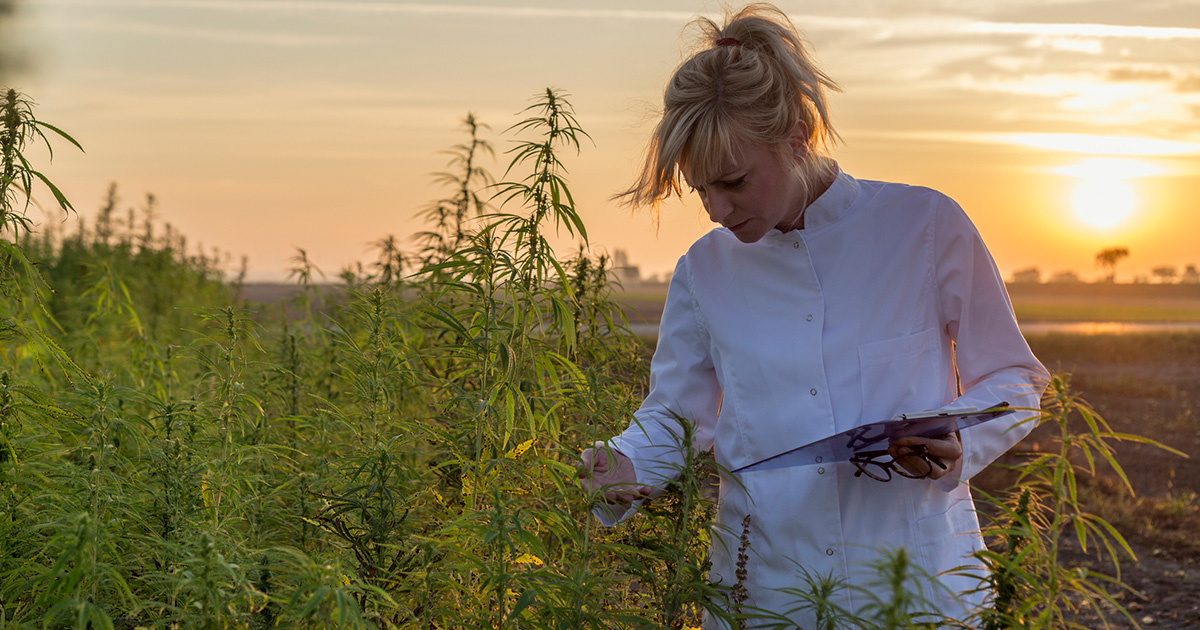 Long-Term Benefits of Growing Hemp for Commercial Applications