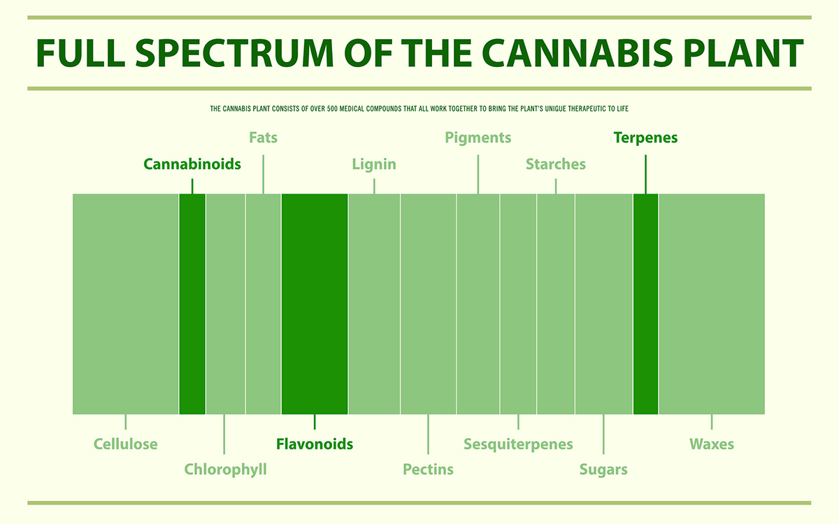Full Spectrum of the Cannabis Plant