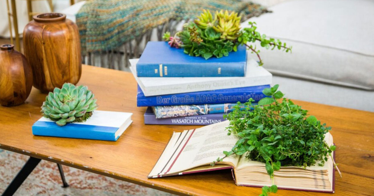 Upcycling Projects -Book Planter 